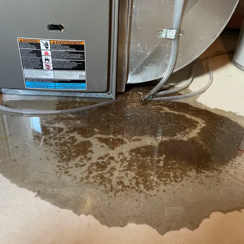 Appliance Leak Cleanup in Rogue River, OR